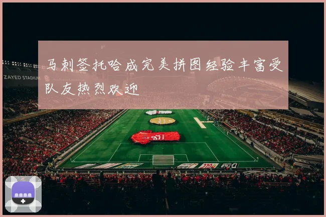 马刺签托哈成完美拼图经验丰富受队友热烈欢迎